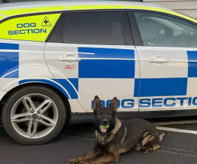 Supreme Protection UK Security Guard and Canine Specialist
