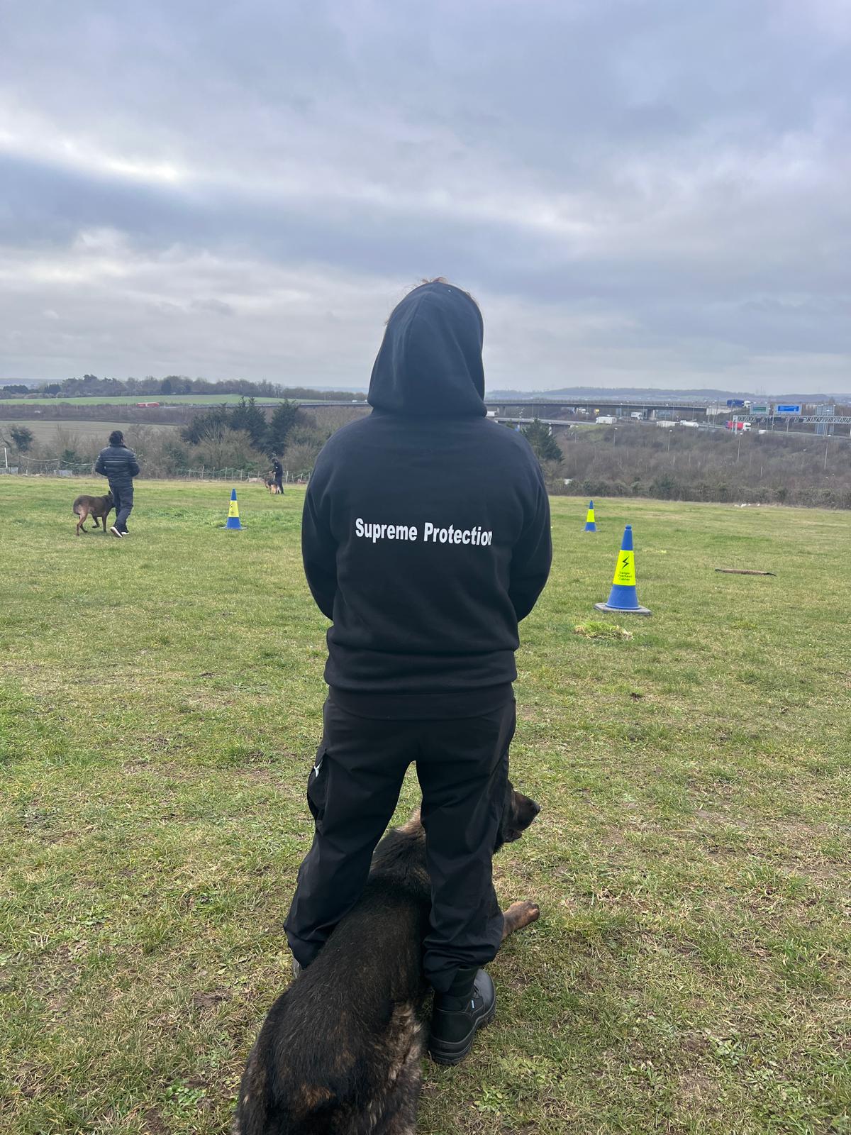 Live Supreme Protection's Canine Security Team in London, UK